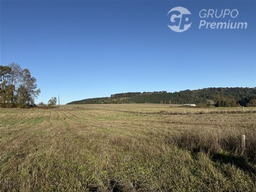 Venta / Terreno Agricola / Villarrica