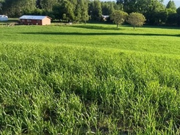Venta / Terreno Agricola / Villarrica