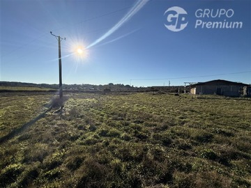 Imagen 14