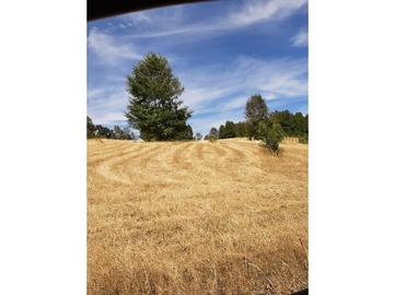 Venta / Terreno Agricola / Villarrica