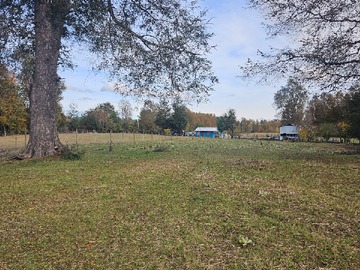 Venta / Terreno Agricola / Villarrica
