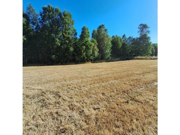 Venta / Terreno Agricola / Villarrica