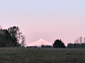 Venta / Terreno Agricola / Villarrica