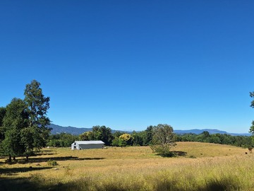 Venta / Terreno Agricola / Villarrica