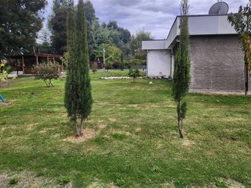 Imagen 5