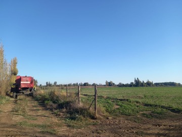Imagen 5