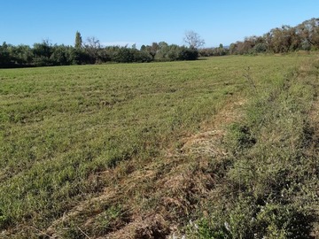 Venta / Terreno Agricola / Yerbas Buenas