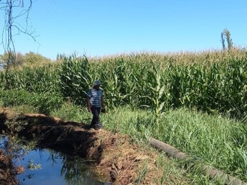 Venta / Terreno Agricola / Yerbas Buenas