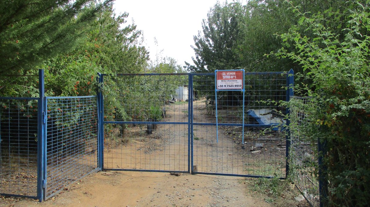 Ingreso al lote N°1 y casa