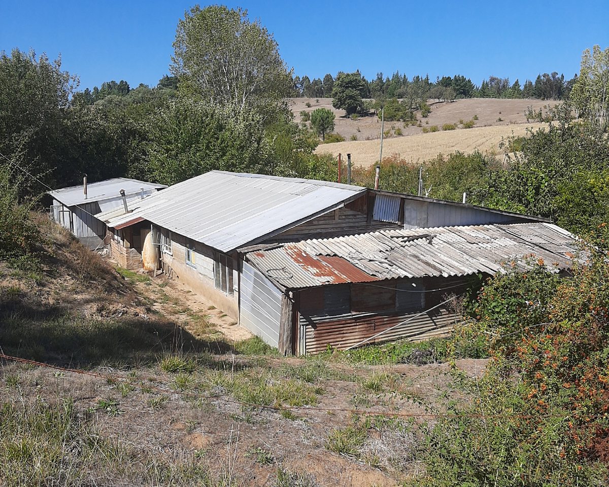 Casa principal