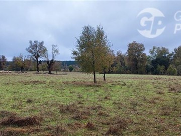 Venta / Terreno Agricola / Yungay