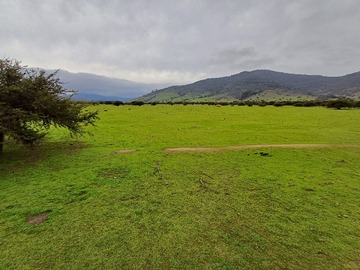 Venta / Terreno Agricola / Zapallar