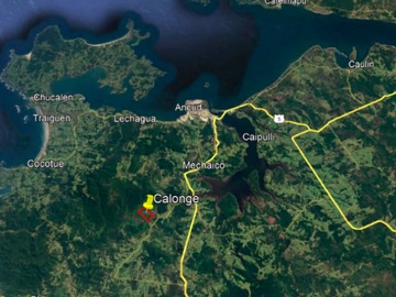 Venta / Terreno Forestal / Ancud