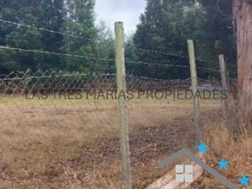 Imagen 19