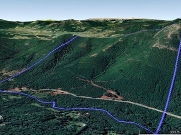 Venta / Terreno Forestal / Cunco