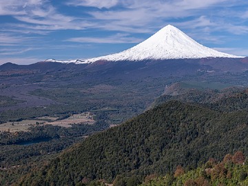 Venta / Terreno Forestal / Curacautín