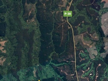 Venta / Terreno Forestal / Curanilahue