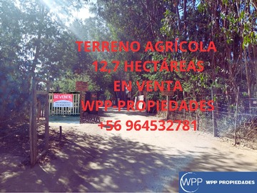 Venta / Terreno Forestal / El Quisco