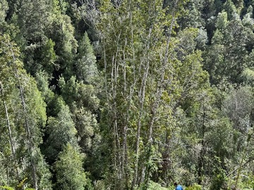 Imagen 17