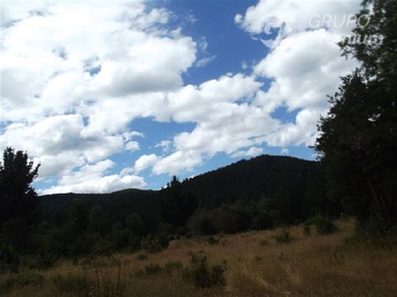 Venta / Terreno Forestal / La Unión