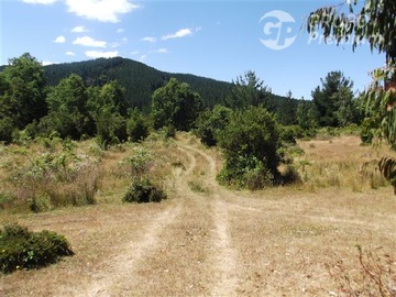 Imagen 8