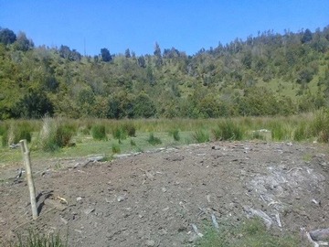 Imagen 6