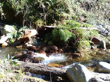 Imagen 15