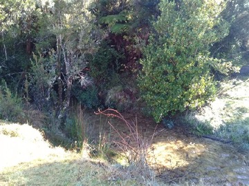 Imagen 11