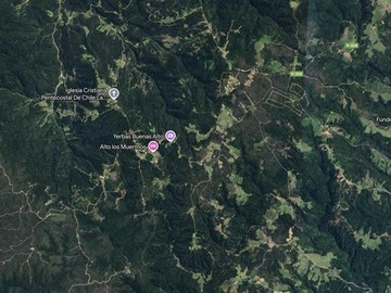 Venta / Terreno Forestal / Los Muermos