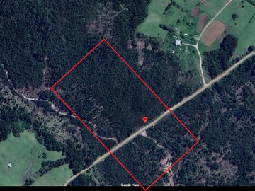 Venta / Terreno Forestal / Los Muermos
