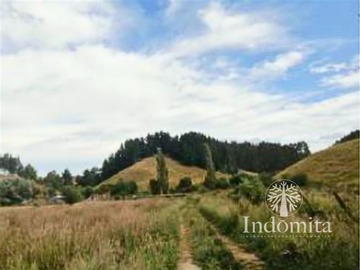 Venta / Terreno Forestal / Osorno