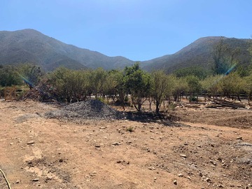 Venta / Terreno Forestal / Paine
