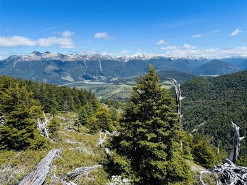 Venta / Terreno Forestal / Río Ibáñez