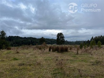 Venta / Terreno Forestal / Río Negro