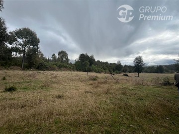 Venta / Terreno Forestal / Río Negro