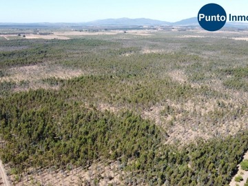 Venta / Terreno Forestal / San Nicolás