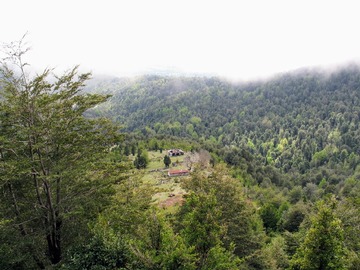Venta / Terreno Forestal / Villarrica