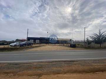 Venta / Terreno Industrial / Algarrobo