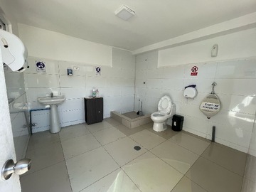 Imagen 6