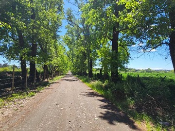 Venta / Terreno Industrial / Bulnes