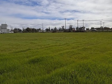 Venta / Terreno Industrial / Bulnes
