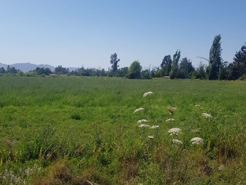 Venta / Terreno Industrial / Calera de Tango