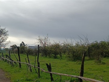 Venta / Terreno Industrial / Chillán Viejo