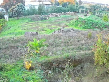 Imagen 11
