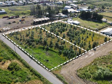 Venta / Terreno Industrial / Chillán