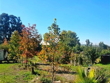 Imagen 26