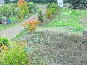 Imagen 10