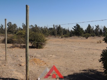Imagen 13