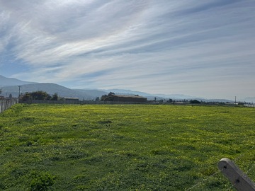 terreno
