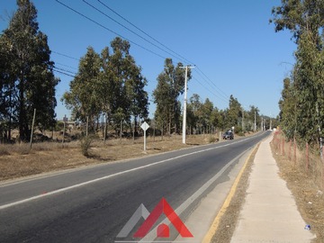Imagen 6